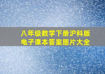 八年级数学下册沪科版电子课本答案图片大全