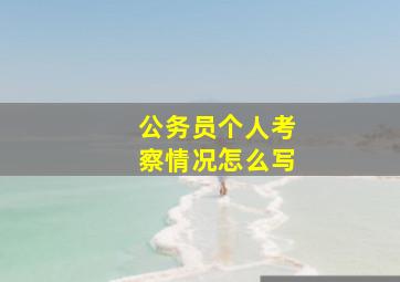 公务员个人考察情况怎么写