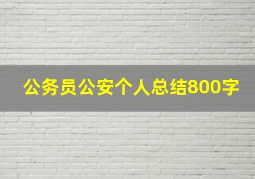 公务员公安个人总结800字