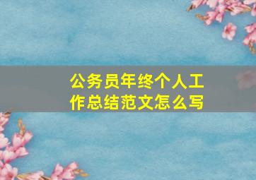 公务员年终个人工作总结范文怎么写