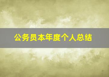 公务员本年度个人总结