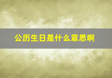 公历生日是什么意思啊