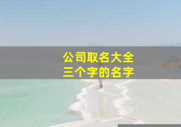 公司取名大全三个字的名字