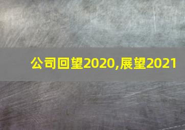 公司回望2020,展望2021