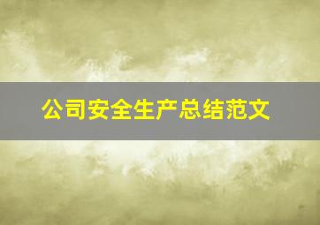 公司安全生产总结范文