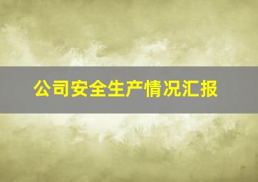 公司安全生产情况汇报