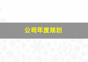 公司年度规划