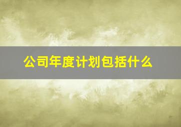 公司年度计划包括什么