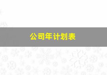 公司年计划表