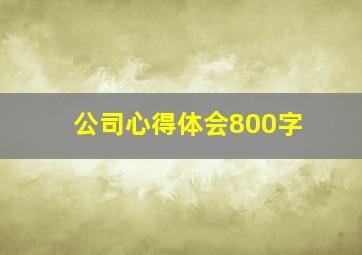 公司心得体会800字