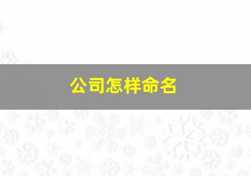 公司怎样命名