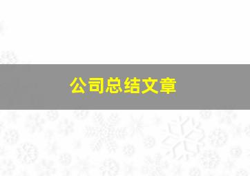 公司总结文章