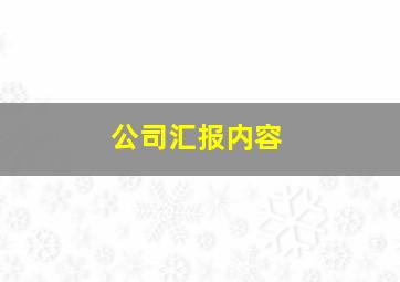 公司汇报内容