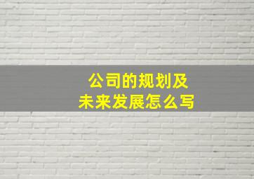 公司的规划及未来发展怎么写