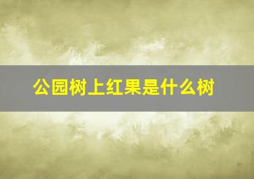 公园树上红果是什么树