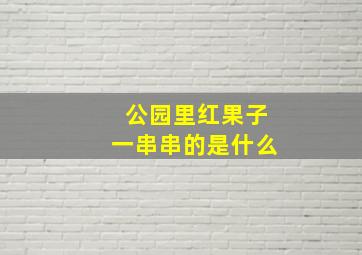 公园里红果子一串串的是什么