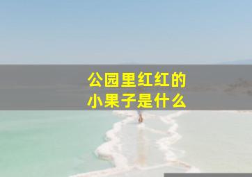 公园里红红的小果子是什么