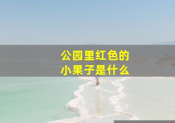 公园里红色的小果子是什么