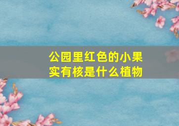 公园里红色的小果实有核是什么植物