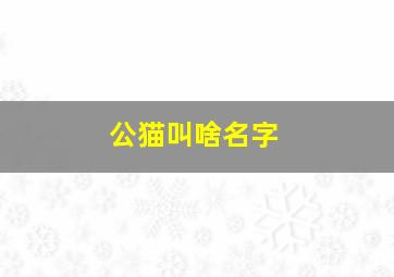 公猫叫啥名字