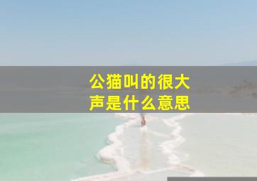 公猫叫的很大声是什么意思