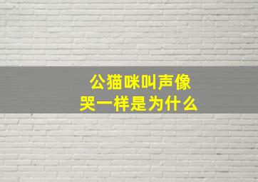 公猫咪叫声像哭一样是为什么