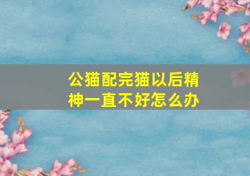 公猫配完猫以后精神一直不好怎么办