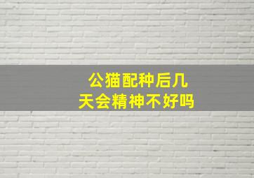 公猫配种后几天会精神不好吗