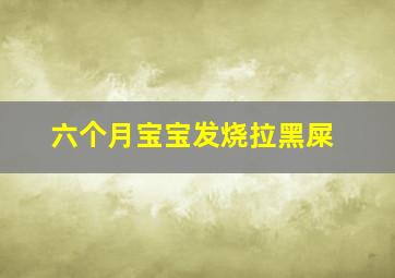 六个月宝宝发烧拉黑屎