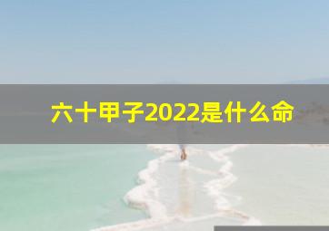 六十甲子2022是什么命