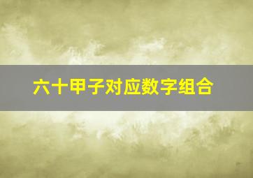 六十甲子对应数字组合