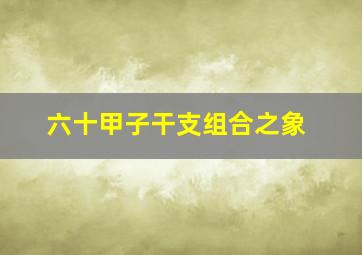 六十甲子干支组合之象