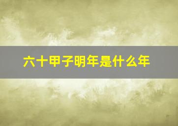 六十甲子明年是什么年