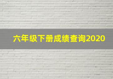 六年级下册成绩查询2020