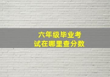 六年级毕业考试在哪里查分数