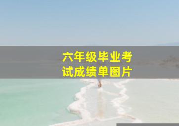 六年级毕业考试成绩单图片