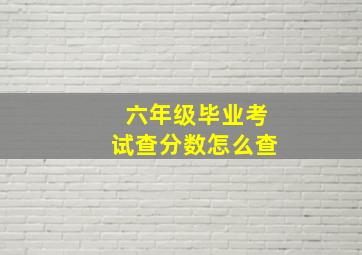 六年级毕业考试查分数怎么查