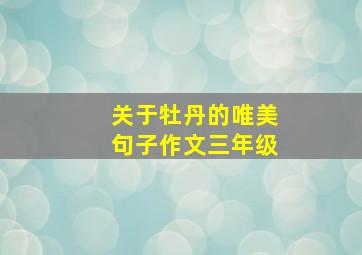 关于牡丹的唯美句子作文三年级