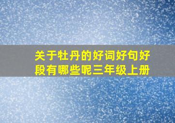 关于牡丹的好词好句好段有哪些呢三年级上册