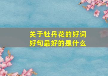 关于牡丹花的好词好句最好的是什么