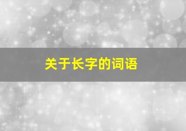 关于长字的词语