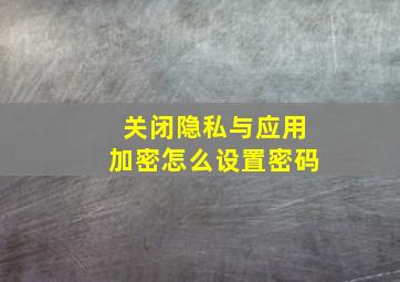 关闭隐私与应用加密怎么设置密码