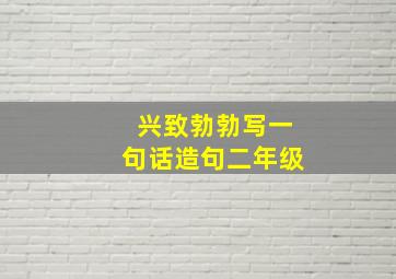 兴致勃勃写一句话造句二年级