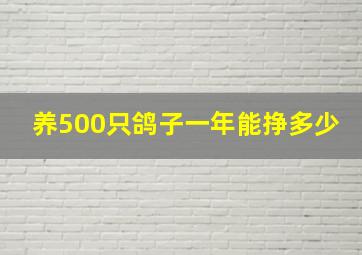 养500只鸽子一年能挣多少