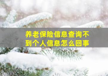 养老保险信息查询不到个人信息怎么回事