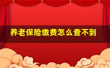 养老保险缴费怎么查不到