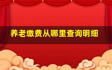 养老缴费从哪里查询明细