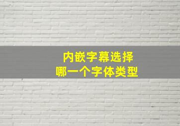 内嵌字幕选择哪一个字体类型