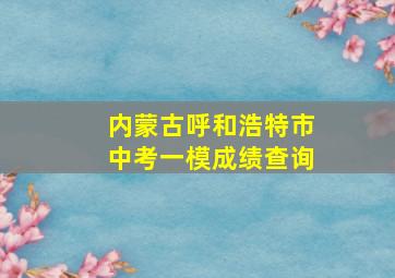 内蒙古呼和浩特市中考一模成绩查询