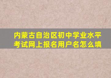 内蒙古自治区初中学业水平考试网上报名用户名怎么填